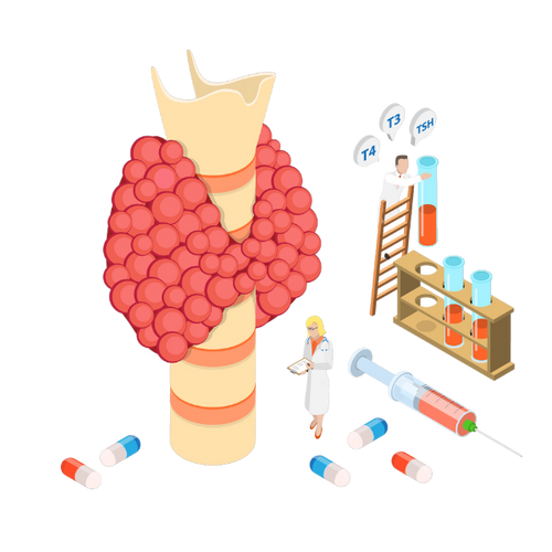 300+ Hypothyroidism Notes